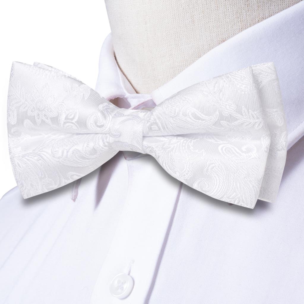 Hi-Tie Herren-Fliege, Einsteck – Bow Tie Pre Tied Bewertung und Preis